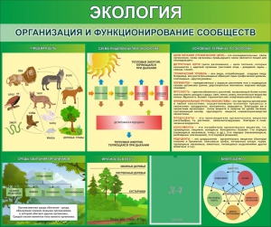 Стенд "Экология. Организация и функционирование сообществ" - fgospostavki.ru - Нижневартовск
