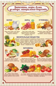 Стенд "Витамины, жиры, белки" - fgospostavki.ru - Нижневартовск