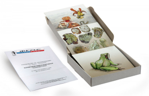 Модель-аппликация "Взаимодействия в природных сообществах" (набор из 23 карт) - fgospostavki.ru - Нижневартовск