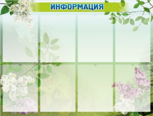 Стенд "Информация" Вариант 13 - fgospostavki.ru - Нижневартовск