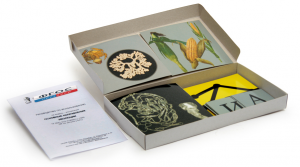 Модель-аппликация "Основные направления эволюции" (набор из 33 карт) - fgospostavki.ru - Нижневартовск