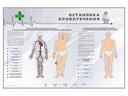 Электрифицированный стенд "Остановка кровотечения" - fgospostavki.ru - Нижневартовск