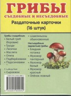 Раздаточные карточки "Грибы съедобные и не съедобные" - fgospostavki.ru - Нижневартовск