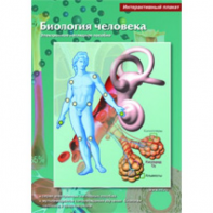 Интерактивные плакаты. Биология человека. Программно-методический комплекс - fgospostavki.ru - Нижневартовск
