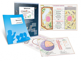 Комплект кодотранспарантов "Цитология" - fgospostavki.ru - Нижневартовск