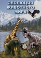 DVD "Эволюция животного мира" - fgospostavki.ru - Нижневартовск