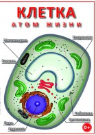 DVD "Клетка - "атом жизни" - fgospostavki.ru - Нижневартовск