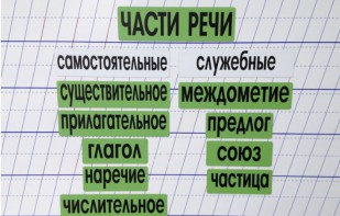 Набор магнитных карточек "Части речи" (фон зелёный) - fgospostavki.ru - Нижневартовск
