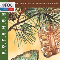 Ботаника. Микрофотографии. (Цифровая база изображений) - fgospostavki.ru - Нижневартовск