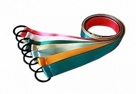 Лента гимнастическая на кольце (0,25 метра) - fgospostavki.ru - Нижневартовск