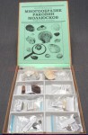 Коллекция "Многообразие раковин моллюсков" - fgospostavki.ru - Нижневартовск