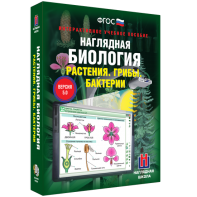 Наглядная биология. 6 класс. Растения. Грибы. Бактерии - fgospostavki.ru - Нижневартовск