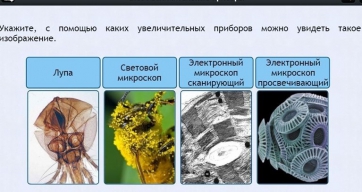 Интерактивные курсы. Биология 5 класс. Расширенный - fgospostavki.ru - Нижневартовск