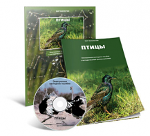 Электронное наглядное пособие «Птицы» - fgospostavki.ru - Нижневартовск