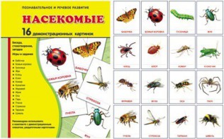 Демонстрационные карточки "Насекомые" - fgospostavki.ru - Нижневартовск