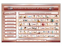 Трехсекционный базовый комплект "Травмы. Кровотечения. Ожоги" для учащихся общеобразовательных учреждений - fgospostavki.ru - Нижневартовск