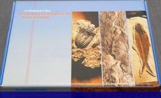 Коллекция "Палеонтологическая" (16 образцов) - fgospostavki.ru - Нижневартовск