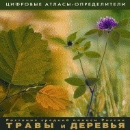Растения средней полосы России "Травы и Деревья". (Цифровые атласы-определители) - fgospostavki.ru - Нижневартовск