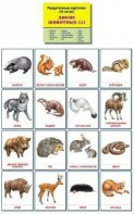 Раздаточные карточки "Дикие животные (1)" - fgospostavki.ru - Нижневартовск