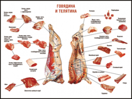 Таблица "Правила разделки мясных туш. Говядина и телятина" (100х140 сантиметров, винил) - fgospostavki.ru - Нижневартовск