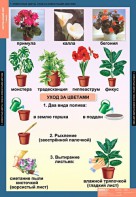 Комплект таблиц. Окружающий мир 1 класс. - fgospostavki.ru - Нижневартовск