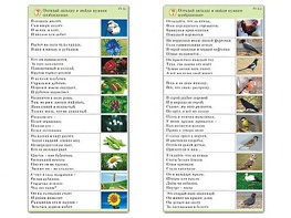 Комплект карточек (10) "Обучающий калейдоскоп. Природа" - fgospostavki.ru - Нижневартовск