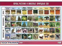 Таблица демонстрационная "Почвы, растения и животные природных зон" (винил 70*100) - fgospostavki.ru - Нижневартовск