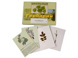 Гербарий "Деревья и кустарники" (22 вида, с иллюстрациями) - fgospostavki.ru - Нижневартовск