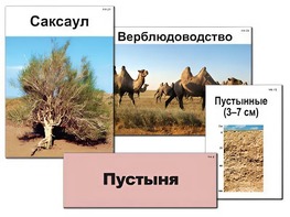 Модель-аппликация "Природные зоны России" (ламинированная) - fgospostavki.ru - Нижневартовск