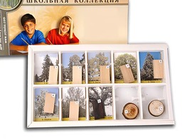 Коллекция "Древесные растения и их распространение" (раздаточная) - fgospostavki.ru - Нижневартовск