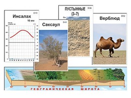 Модель-аппликация "Природные зоны" - fgospostavki.ru - Нижневартовск