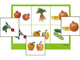 Логопедическое лото "Овощи" (4 планшета, 24 карточки, цветное, ламинированное) - fgospostavki.ru - Нижневартовск