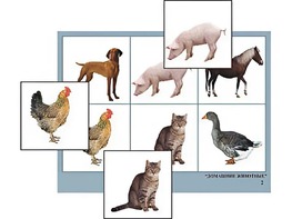 Логопедическое лото "Домашние животные" (4 планшета, 24 карточки, цветное, ламинированное) - fgospostavki.ru - Нижневартовск