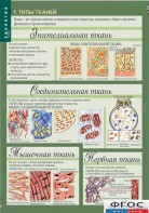 Комплект таблиц. Биология 8-9 класс. Человек. - fgospostavki.ru - Нижневартовск