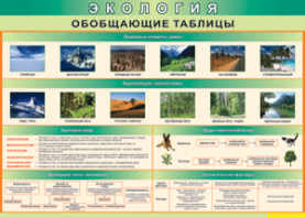 Таблица "Экология. Обобщающие таблицы" (100х140 сантиметров, винил) - fgospostavki.ru - Нижневартовск