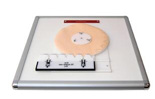 Комплекс "Изучение зубьев" - fgospostavki.ru - Нижневартовск