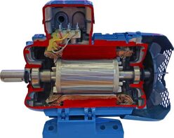 Учебная модель «Электродвигатель асинхронный в разрезе» - fgospostavki.ru - Нижневартовск