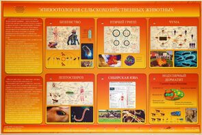 Электрифицированный стенд «Эпизоотология сельскохозяйственных животных» - fgospostavki.ru - Нижневартовск