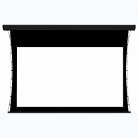 Экран настенный с электроприводом DSTPX-16916 - fgospostavki.ru - Нижневартовск