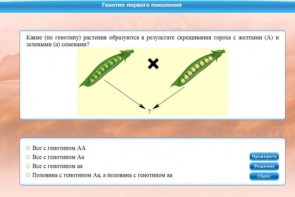 Интерактивные курсы. Биология 11 класс. Базовый. - fgospostavki.ru - Нижневартовск