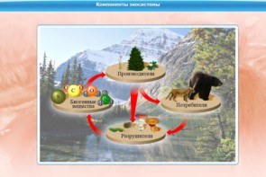 Интерактивные курсы. Биология 7 класс. Базовый. - fgospostavki.ru - Нижневартовск