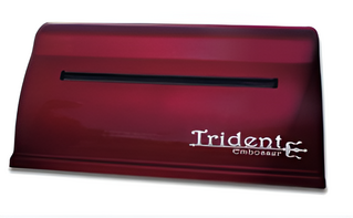 Принтер для печати рельефно-точечным шрифтом Брайля Trident - fgospostavki.ru - Нижневартовск