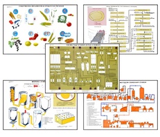 Плакаты ПРОФТЕХ "Сырье и материалы хлебопекарного производства" (20 пл, винил, 70х100) - fgospostavki.ru - Нижневартовск