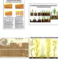 Плакаты ПРОФТЕХ "Агрономия" (5 пл, винил, 70х100) - fgospostavki.ru - Нижневартовск