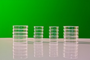 Набор чашек Петри - fgospostavki.ru - Нижневартовск