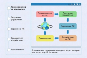 Интерактивные курсы. Информатика 10 класс . Базовый. - fgospostavki.ru - Нижневартовск