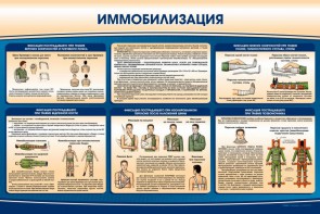 Стенд "Иммобилизация" - fgospostavki.ru - Нижневартовск