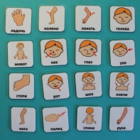 Набор карточек "Части тела" - fgospostavki.ru - Нижневартовск