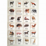 Набор карточек "ЖИВОТНЫЕ" - fgospostavki.ru - Нижневартовск