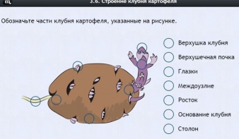 Интерактивные курсы. Биология 6 класс. Расширенный - fgospostavki.ru - Нижневартовск